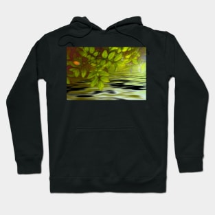 Green leaves background in summer with shallow depth of field Hoodie